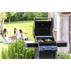 Napoleon Barbecue Gaz Napoléon Rogue 365 PK 2 Brûleurs -Le Brasero Magique Boutique barbecue gaz napoleon rogue r 365 pk 14