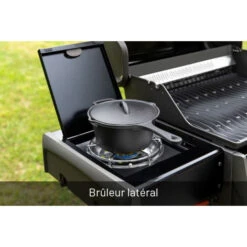 Napoleon Barbecue Gaz Napoléon Rogue 425 SBPK 3 Brûleurs + 1 Latéral 28 Napoleon Barbecue Gaz Napoléon Rogue 425 SBPK 3 Brûleurs + 1 Latéral -Le Brasero Magique Boutique barbecue gaz napoleon rogue r425 sb 6