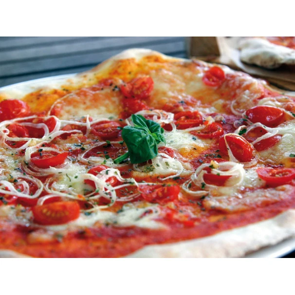 Four à Pizza à Bois Fontana Marinara Inox 8 Four à Pizza à Bois Fontana Marinara Inox – Image 6