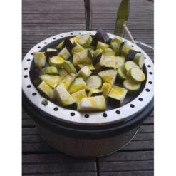 Plancha Barbecue Charbon Cobb Premier Fonte -Le Brasero Magique Boutique plancha en fonte pour barbecue cobb premier 2