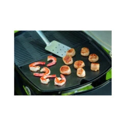 Plancha Barbecue Gaz Weber Q3000 44 X 31 Cm Fonte -Le Brasero Magique Boutique plancha fonte pour barbecue weber q3000 44 x 31 cm 3